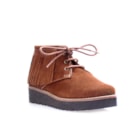 038 1629 C Camel1_1-1